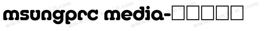 msungprc media字体转换